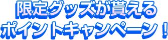 限定グッズが貰えるポイントキャンペーン！