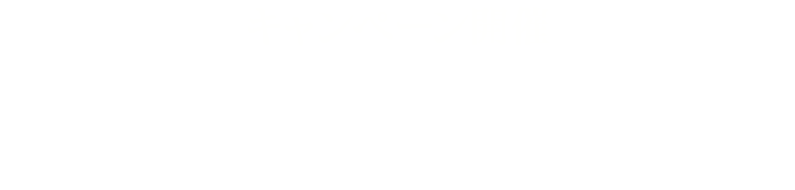 キャンペーン開催